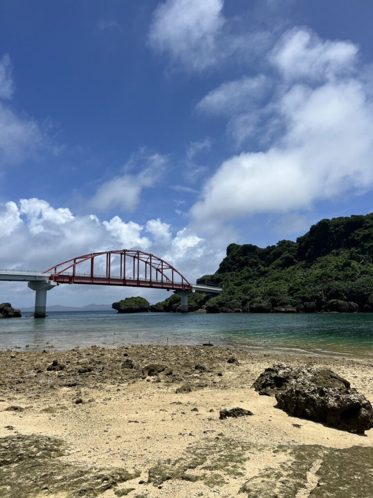 沖縄の自然とレンタカー